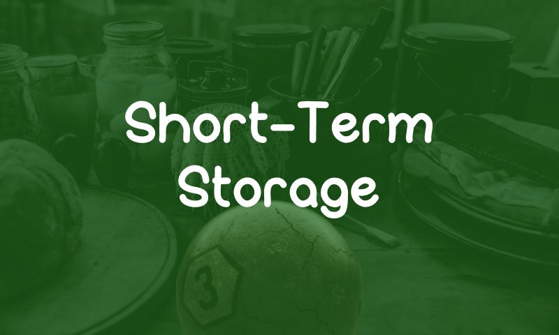 Short-Term Storage Short-Term Storage