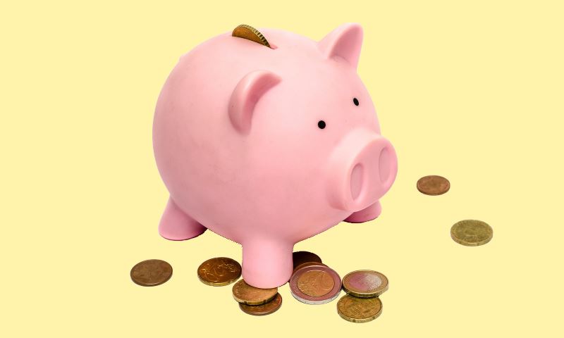 Emergency Preparedness on a Budget Piggy bank