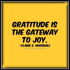 gratitude is the gateway to joy