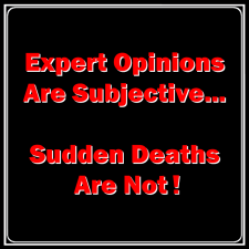 expert opinions are subjective
